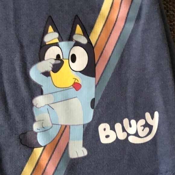 Moose Bluey Toddler Boy Shorts Grey Blue 4T - Picture 4 of 11